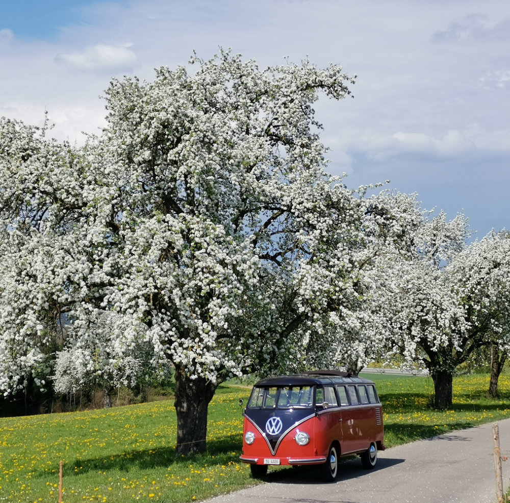 oldtimerfreude.ch